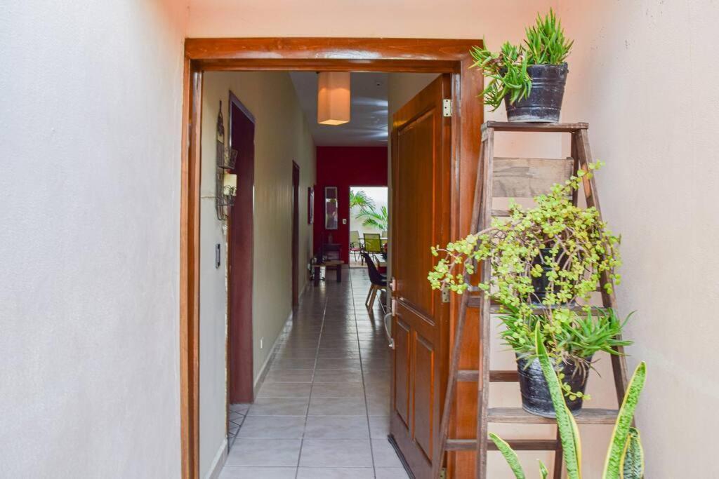 San Jose Del Mar Villa La Paz Eksteriør billede